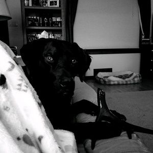 Meet your Posher, Tiffany